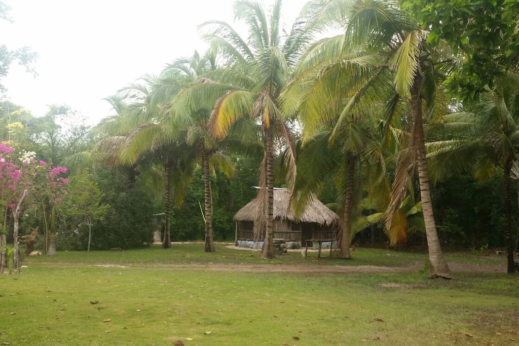 Yard view