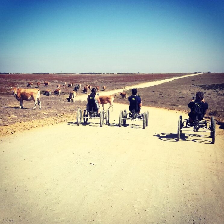 Show full-screen, host-provided image