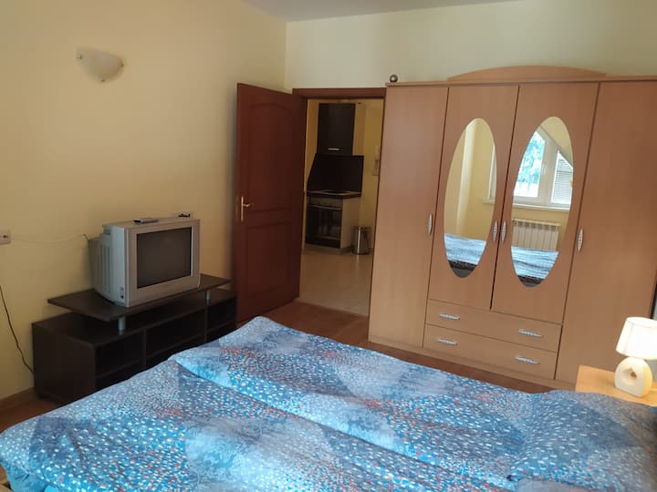 ห้องนอน 1 ห้องพร้อมทีวีและเตียงคู่ มีทางเข้าระเบียง 