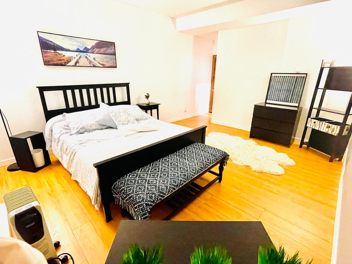 A spacious bedroom features a large bed with light bedding, complemented by a decorative throw at the foot. A plush area rug lies on the wooden floor, and a dresser with a mirror stands nearby. Natural light fills the room from a window, enhancing the open atmosphere.