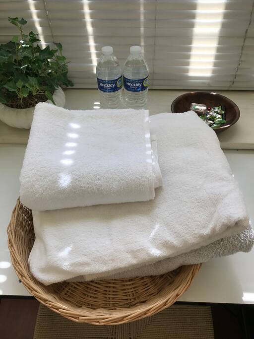 There's iron, hair dryer, towels and hair straightener provided ❤️