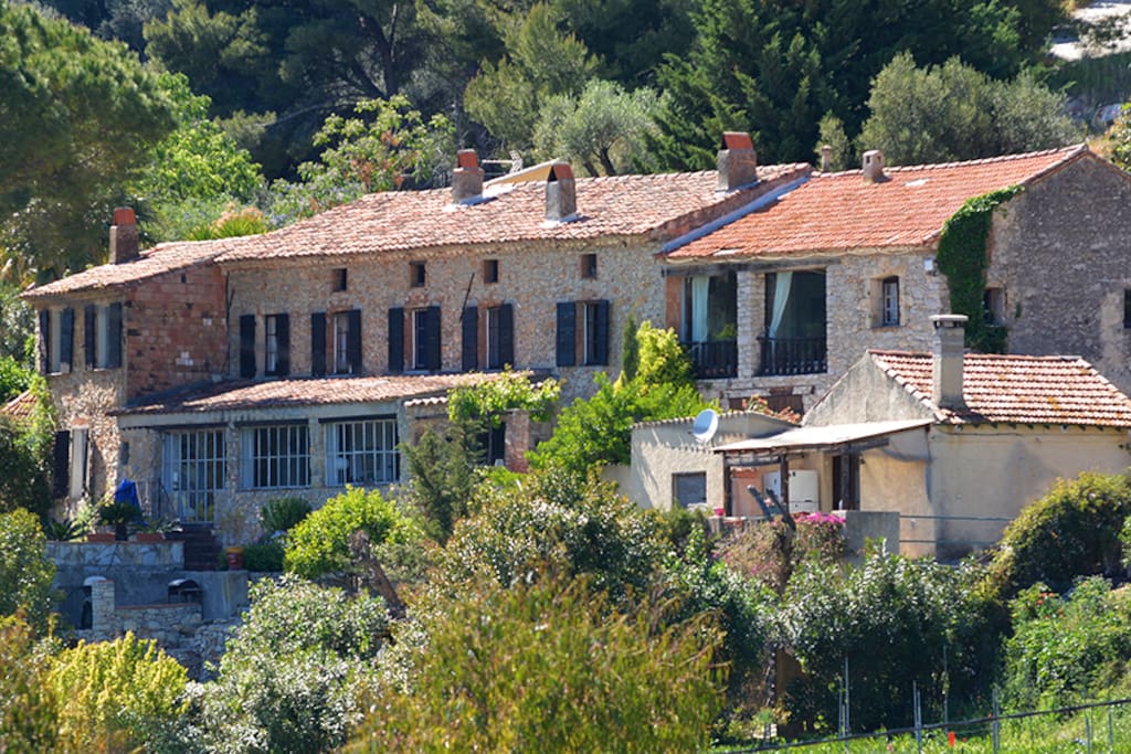 La maison dans son écrin de verdure
