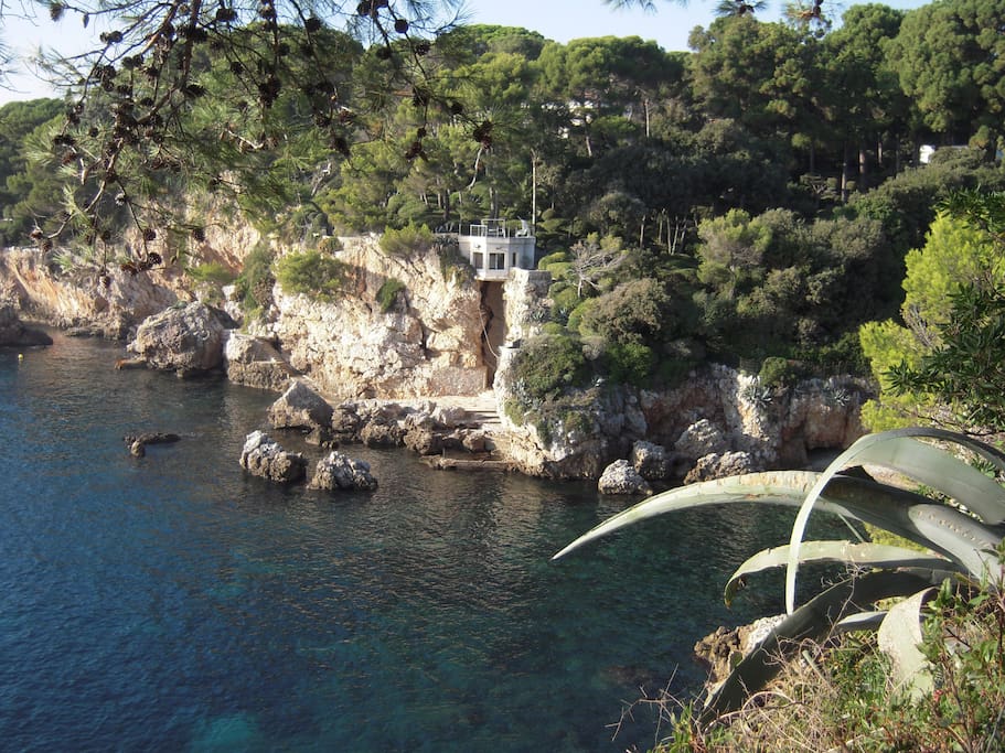 La cote sauvage