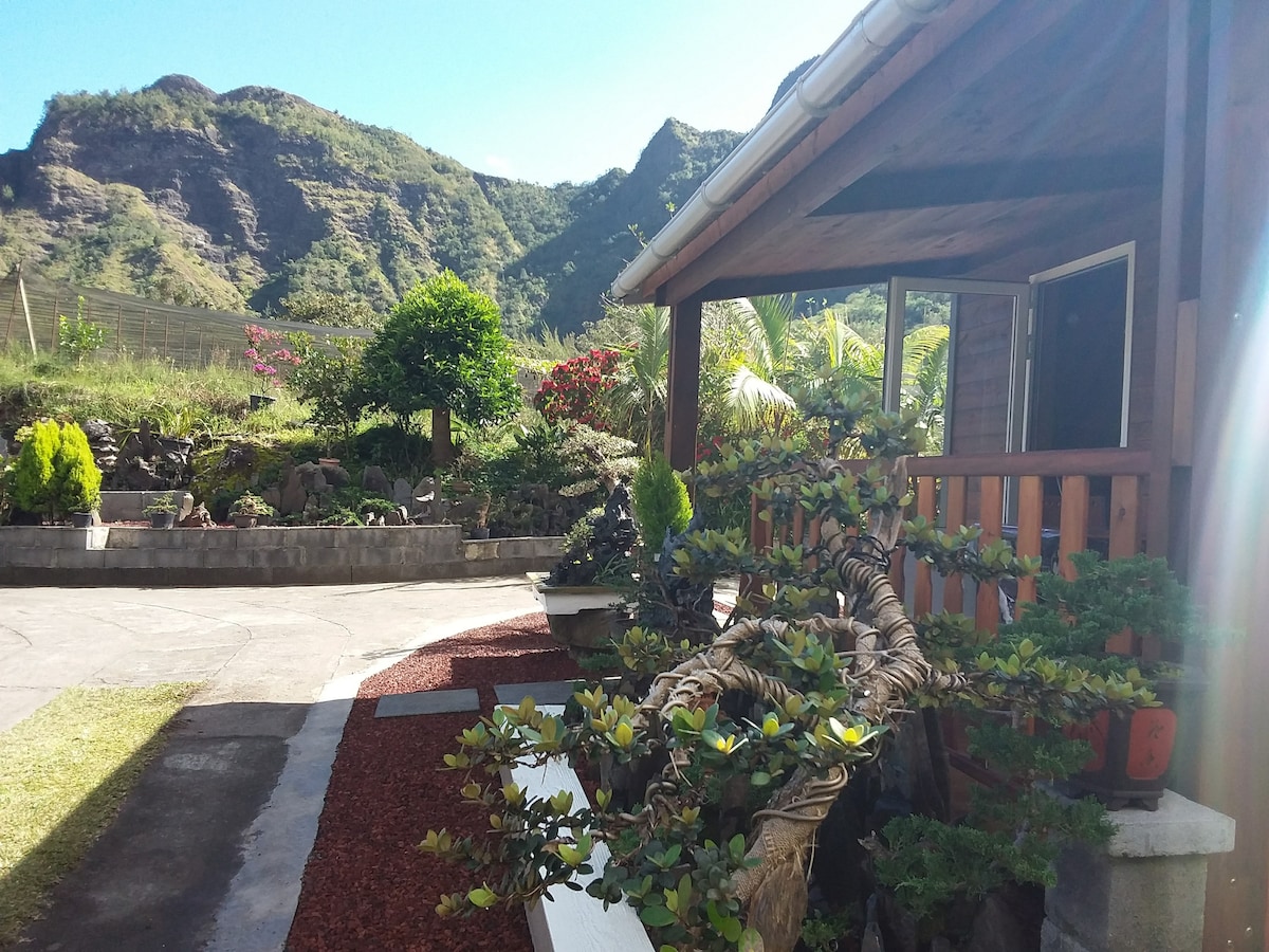 The exterior of the chalet is framed by lush greenery and vibrant flower beds. A winding pathway leads through a landscaped garden showcasing bonsai trees. Majestic mountains rise in the background under a clear blue sky, offering a serene natural setting.