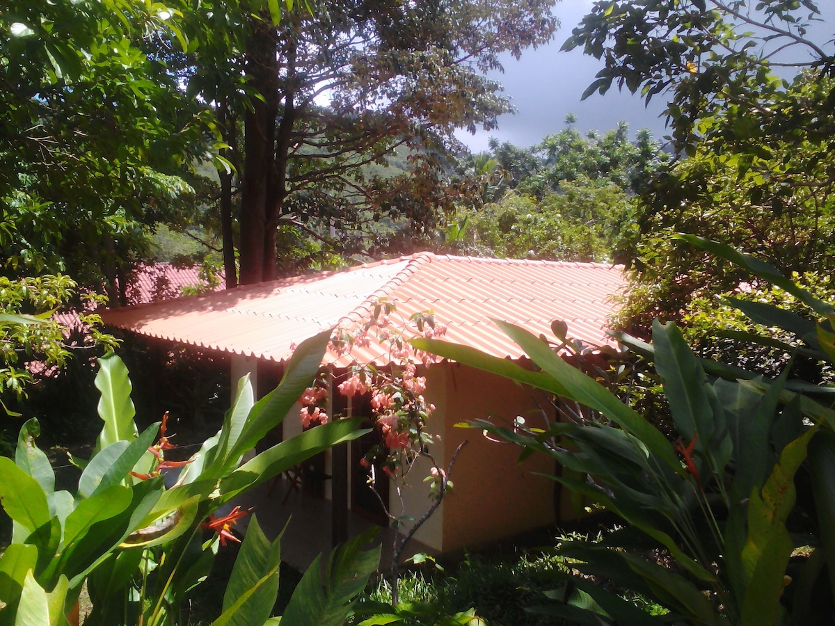 A serene view of the house is framed by lush greenery and vibrant flowers. The orange-roofed structure blends into the natural surroundings, with trees and plants providing a sense of privacy and tranquility.