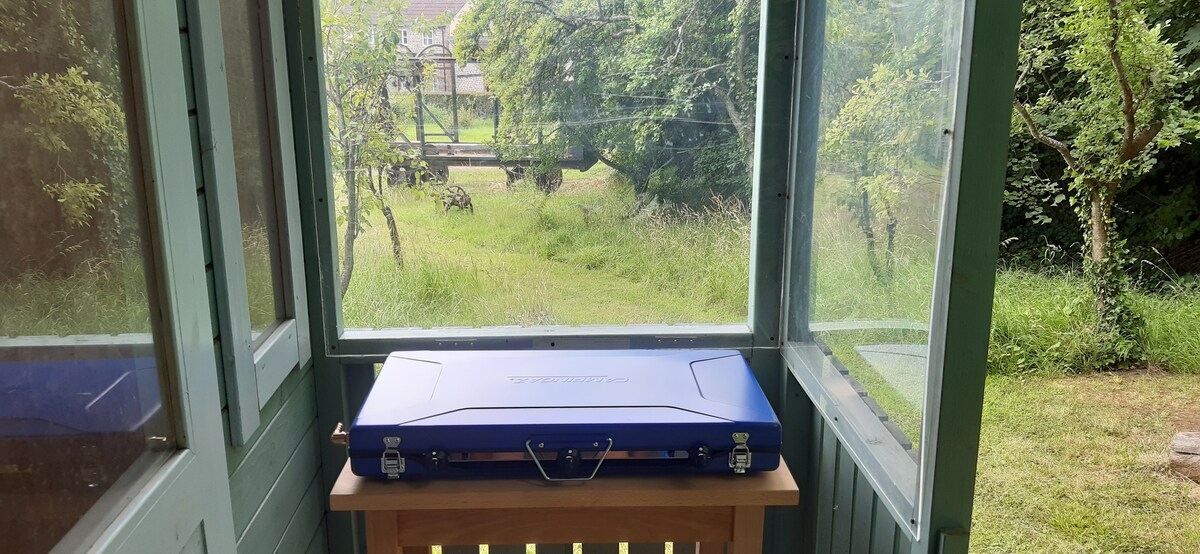A blue camping gas stove is situated on a wooden table within a screened-in area. Surrounding greenery is visible through the screens, providing a natural view of the outdoors. Light filters in, enhancing the serene atmosphere of the space.