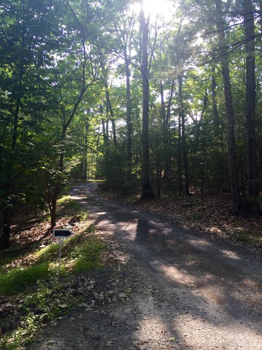 Lush woods protect the privacy of guests and allow you a quiet escape from the everyday. Good luck trying to spot the house from this vantage point halfway up the long driveway.
