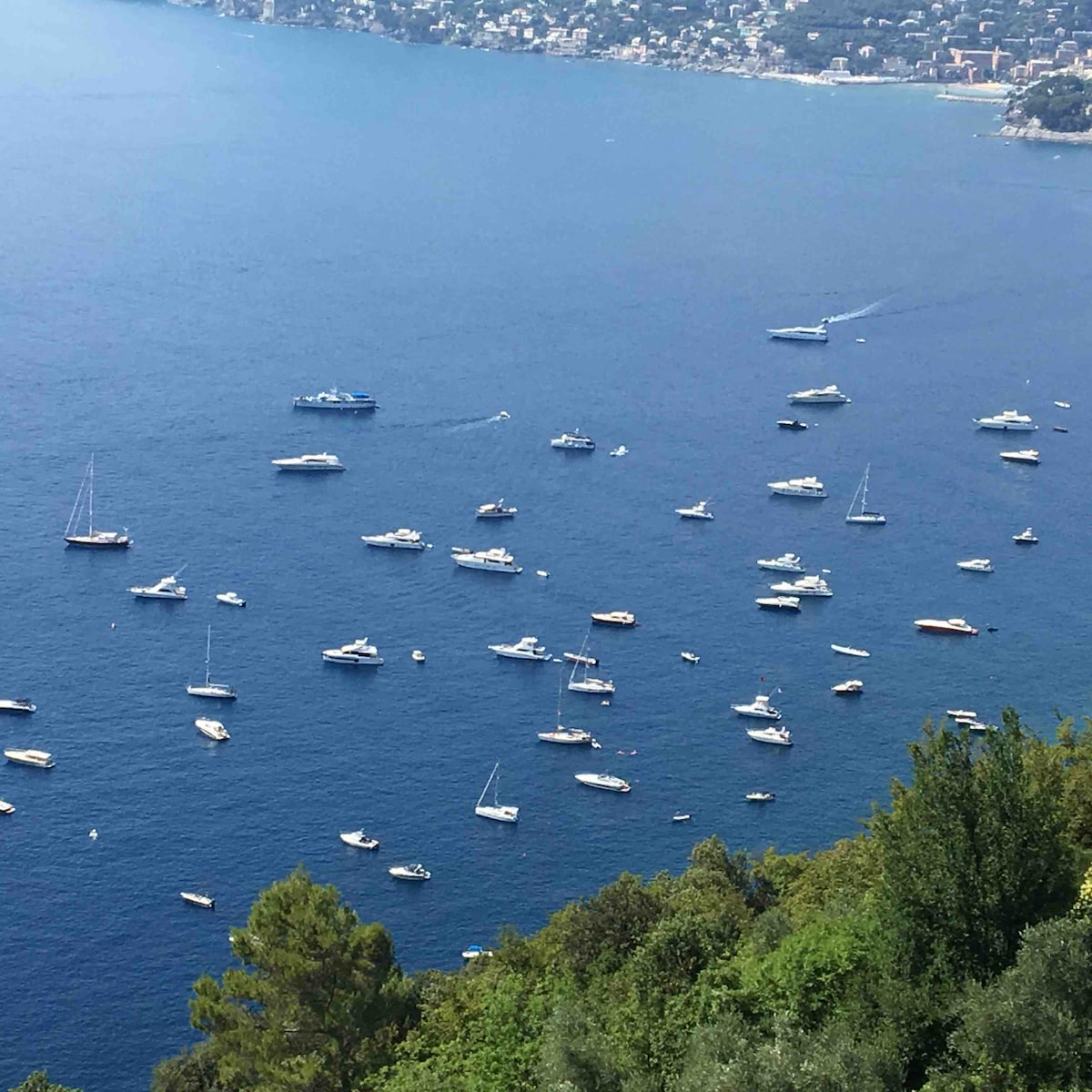 A wide view of the tranquil sea features numerous boats scattered across the water, with varying sizes and types of vessels present. The shoreline in the distance is lined with greenery and small buildings, accentuating the natural beauty of the coastal landscape.