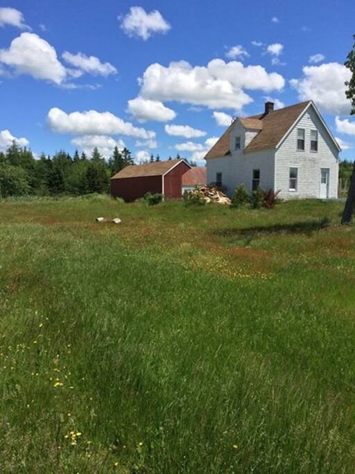 View of house from the driveway