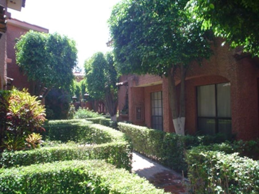 CONSERVAMOS AREAS VERDES