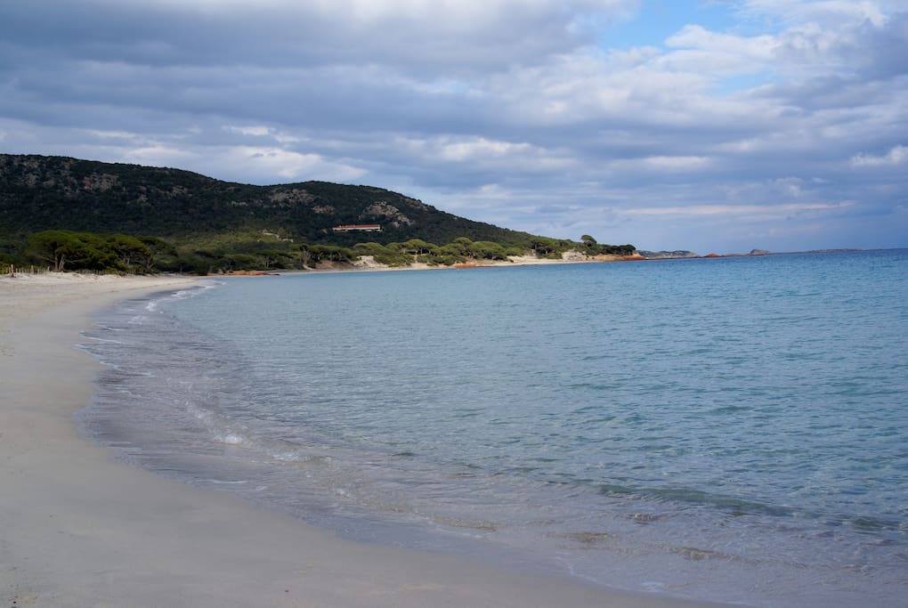La plage de Palombaggia en Automne