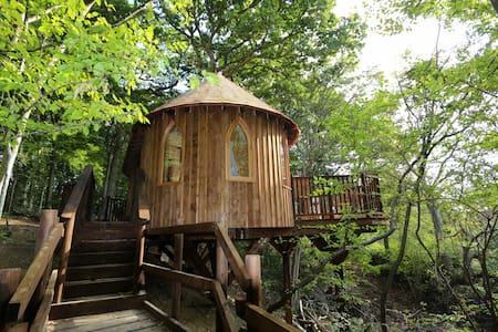 Luxurious, picture-perfect, stunning treehouse