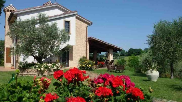 B&b Principerto, Relax E Comfort - Osimo