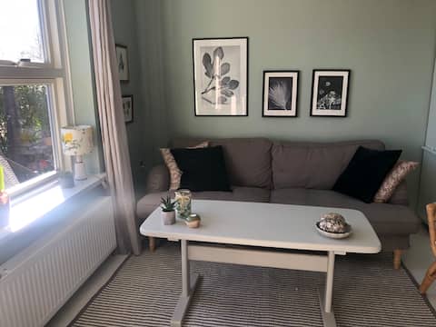 Top performing Airbnb: Palmen - Bright home with a sunny terrace in Samsø