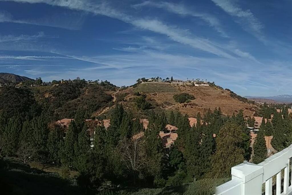 Back yard view
