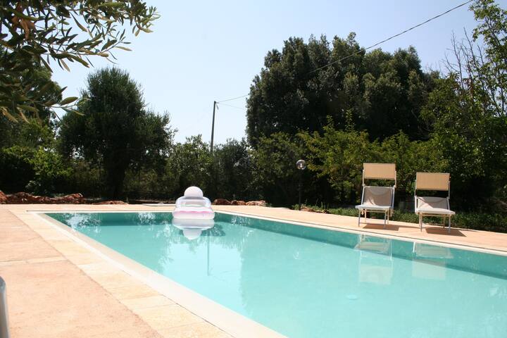 OTIUM 45 gallery image 4