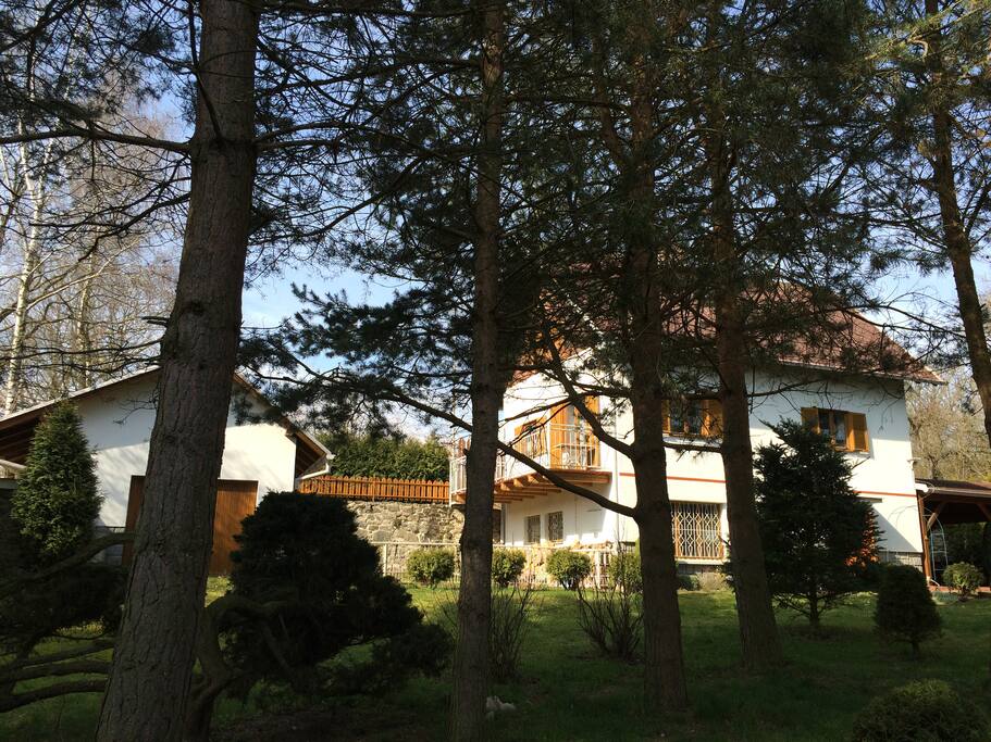 pohled ze zahrady - view of the garden
