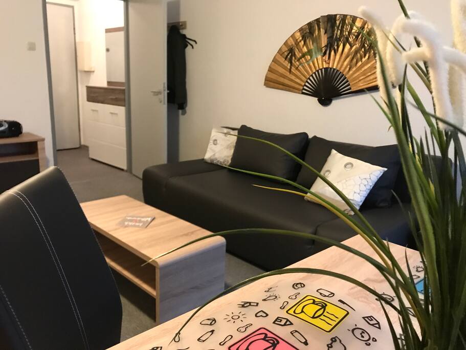 Wohn- und Schlafzimmer mit ausziehbarer Schlafcouch