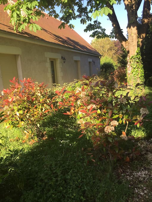 Matinée magique de printemps.