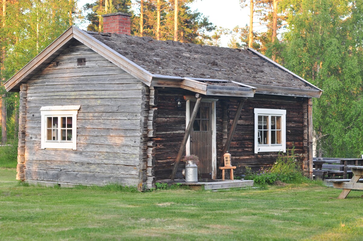 A rustic wooden cabin is presented, featuring a sloped roof and natural wood siding. Two windows are positioned on the front, allowing light to enter. A small chair is placed on the porch, with a grassy yard surrounding the cabin, creating a peaceful outdoor space.
