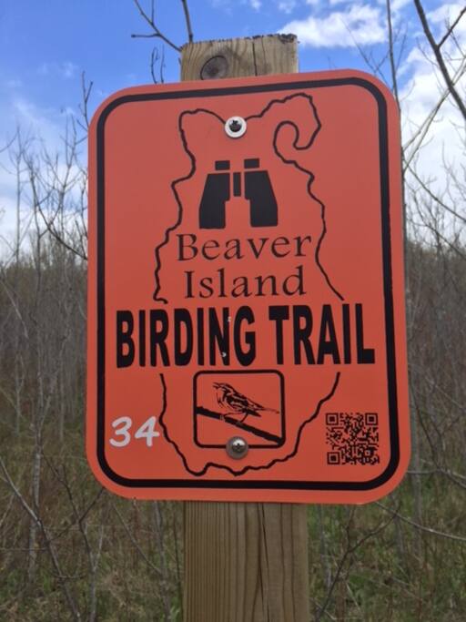Camp 3 Trail is a Birding Trail ...take a walk.