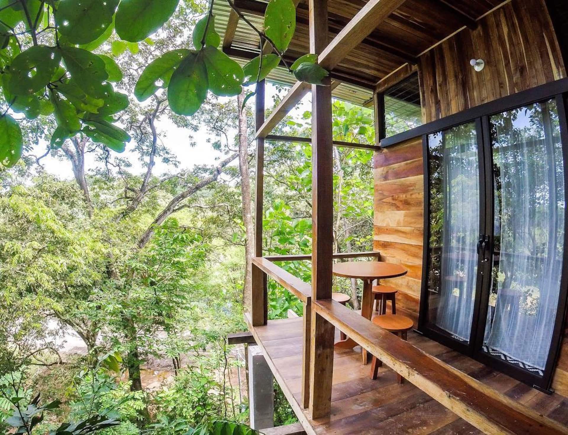 Surf Samara Tree House 1