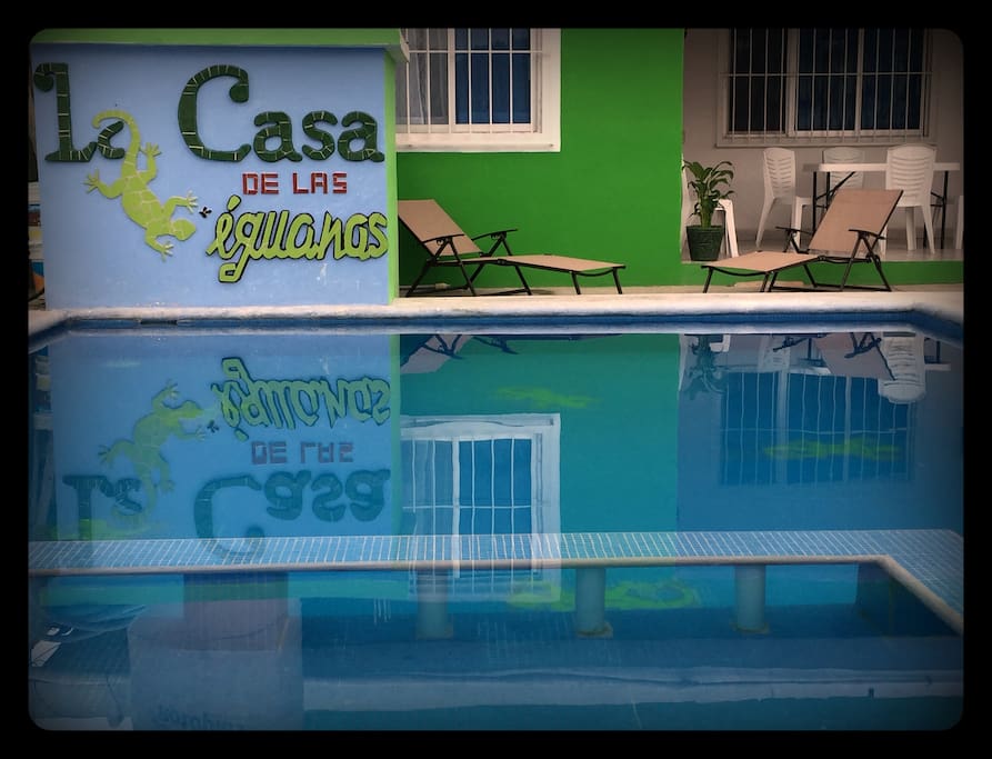 Pool area / Alberca