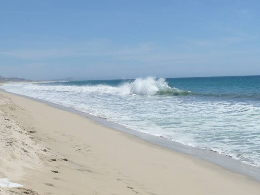 Photo that I took early one morning of our beach.