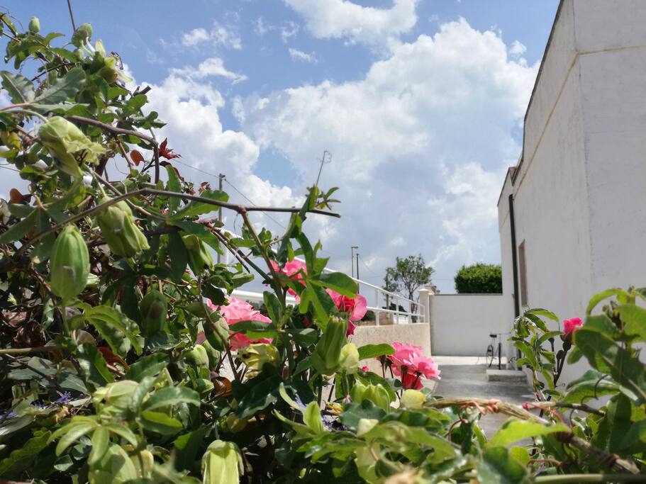 foto esterno casa (laterale)