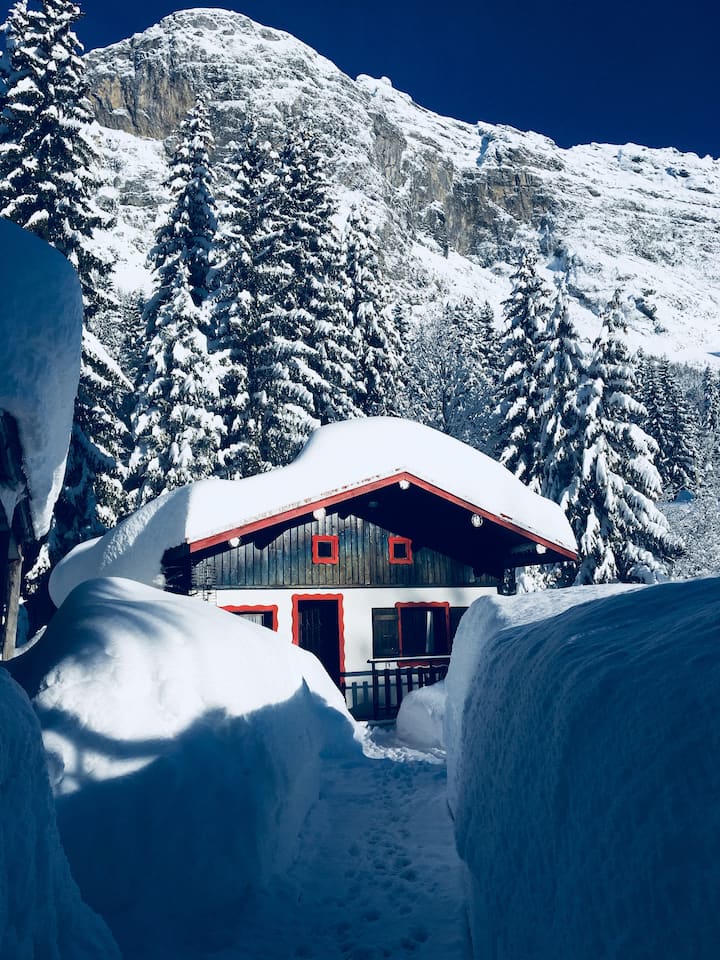 Leysin Chalet rentals Vaud, Switzerland Airbnb