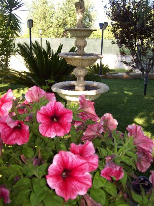 Giardino