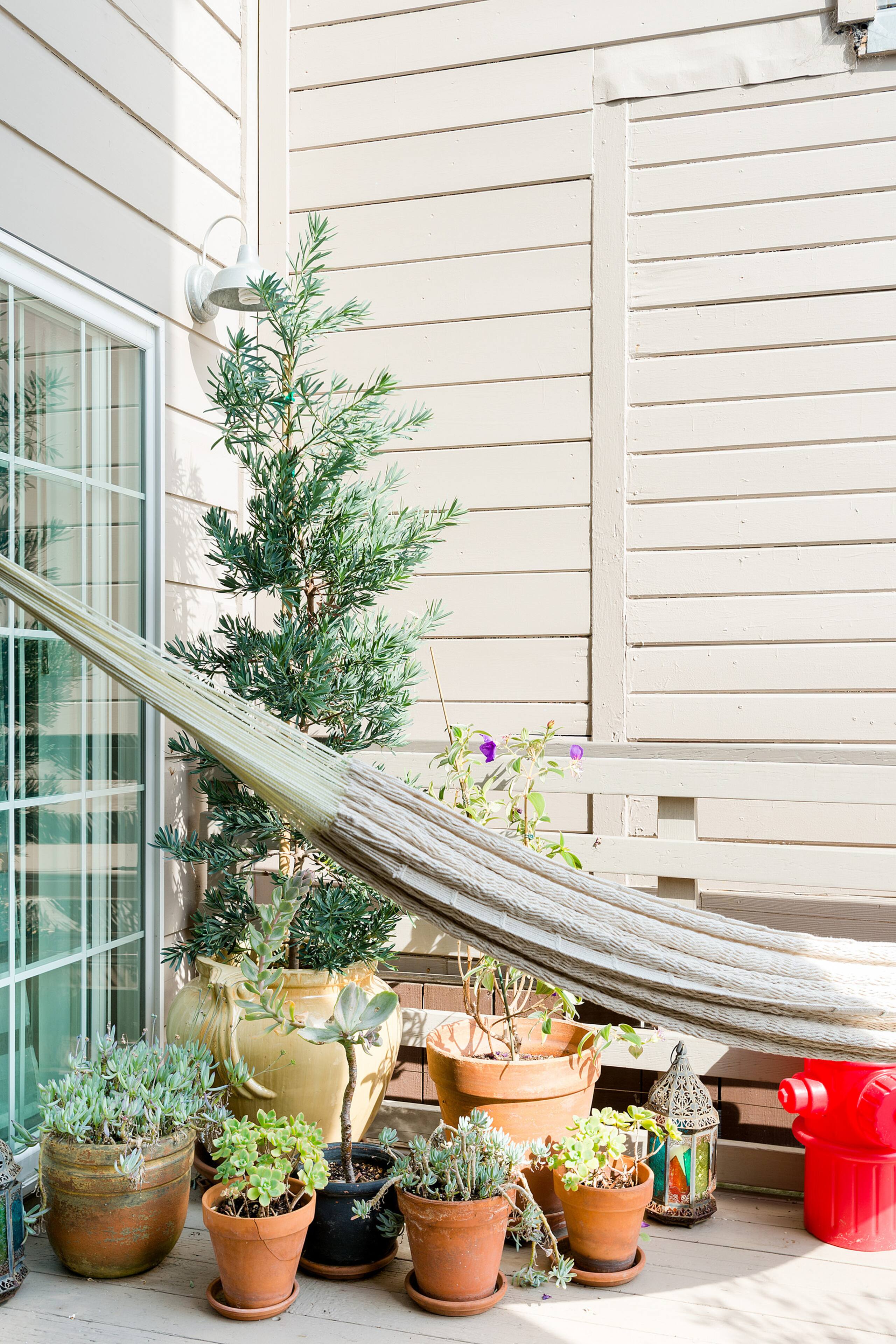 Private Lux Studio Apt. W Garden/Hammock BART - Image 17