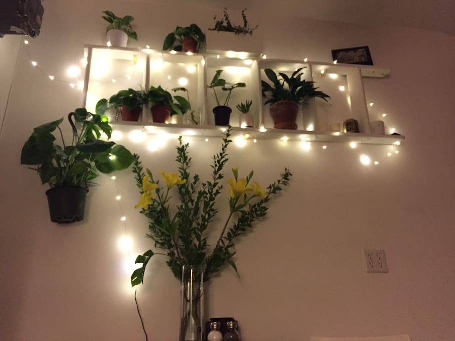 We stock a lot of plants because #plantsmakepeoplehappy