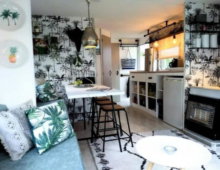 Tiny House Near The Beach (Bakkum) - Castricum