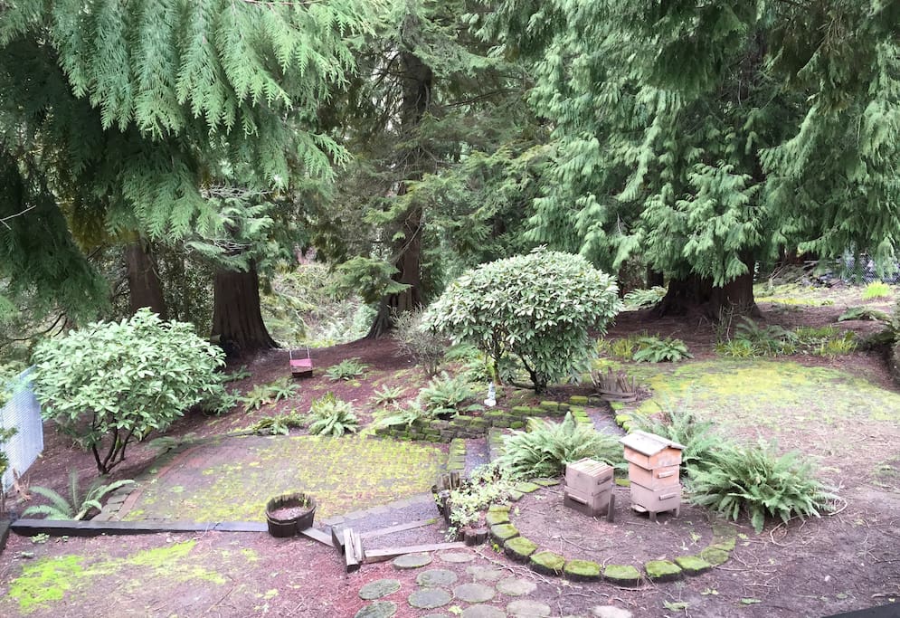 Wooded back yard