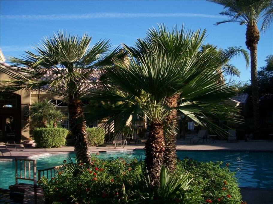 Resort Style Pool