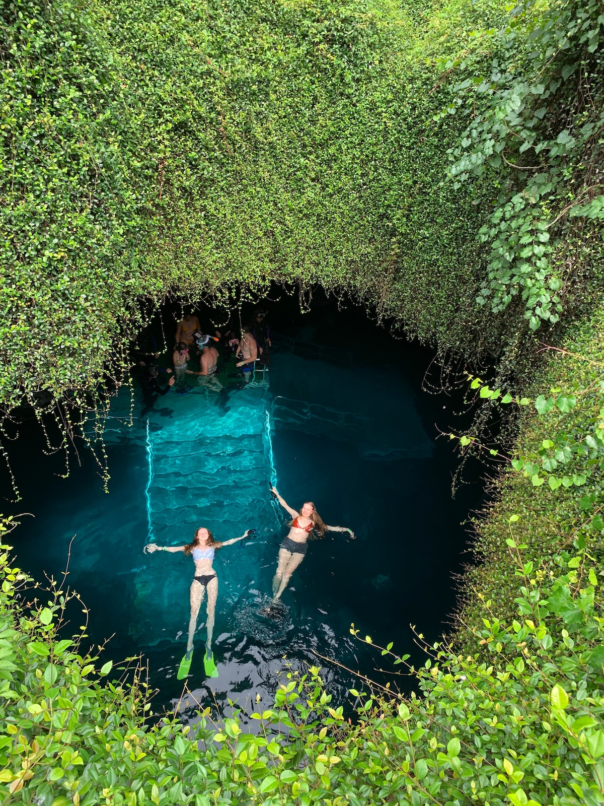 A natural swimming area surrounded by lush greenery and vines is depicted. Clear, dark blue water creates a serene atmosphere. Two individuals are shown floating, enjoying the tranquil environment. The setting suggests a secluded and refreshing retreat.