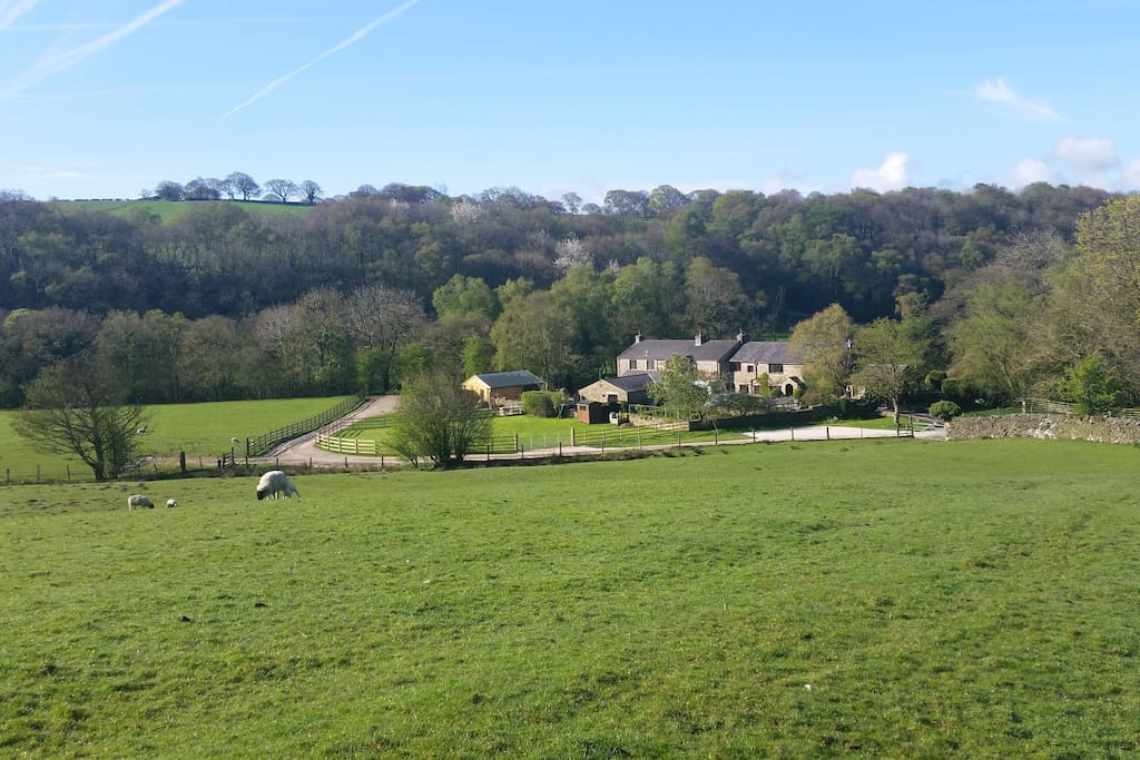 Looking down on Garden Cottage and our house behind