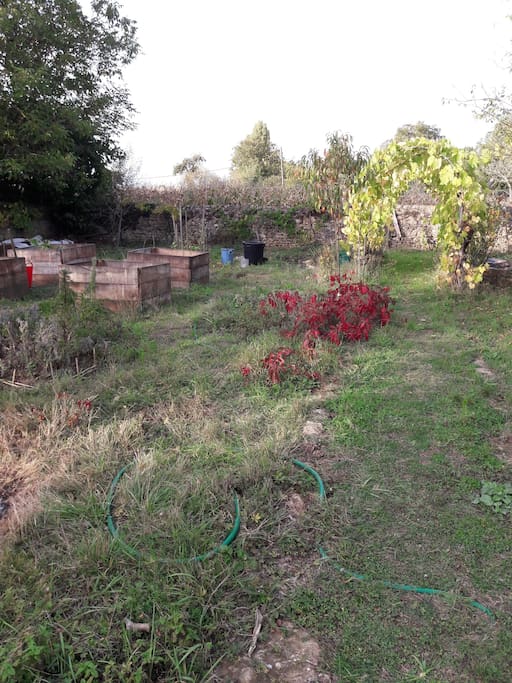 le potager à l'automne