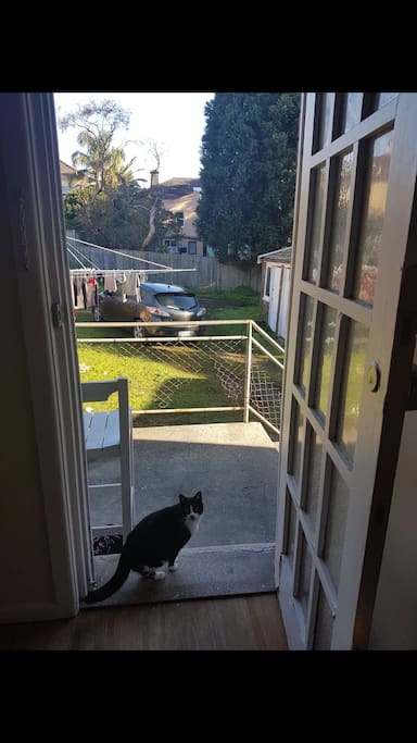 Backyard area where you can possibly park your car & also a washing line to dry clothes on