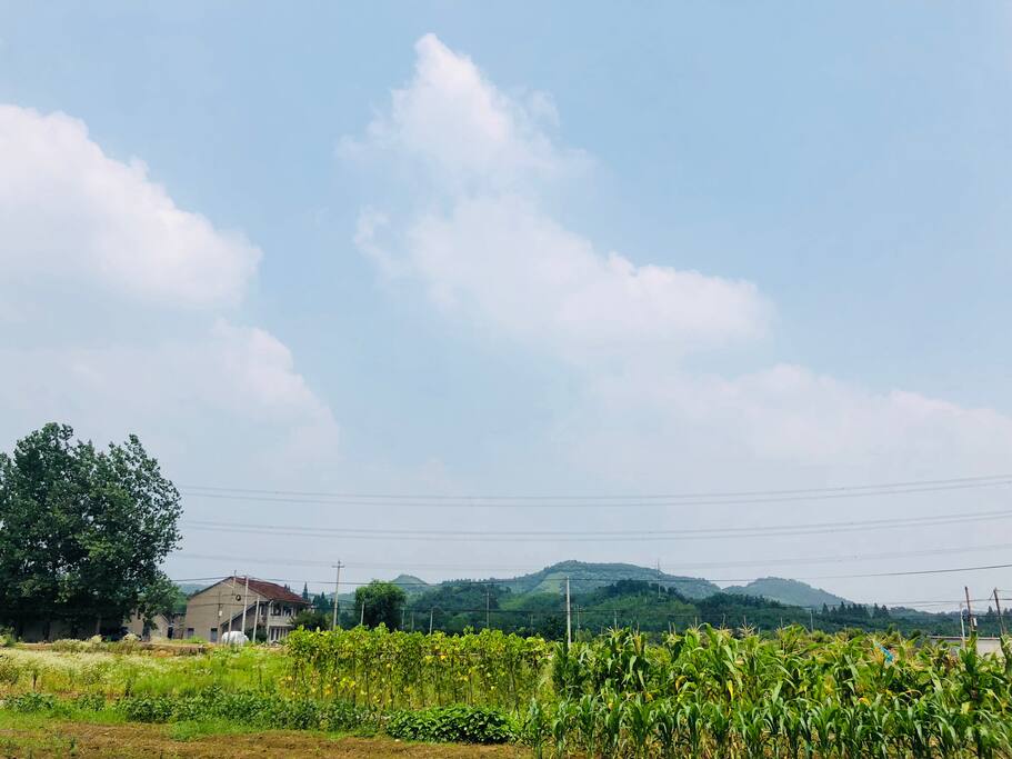 外景