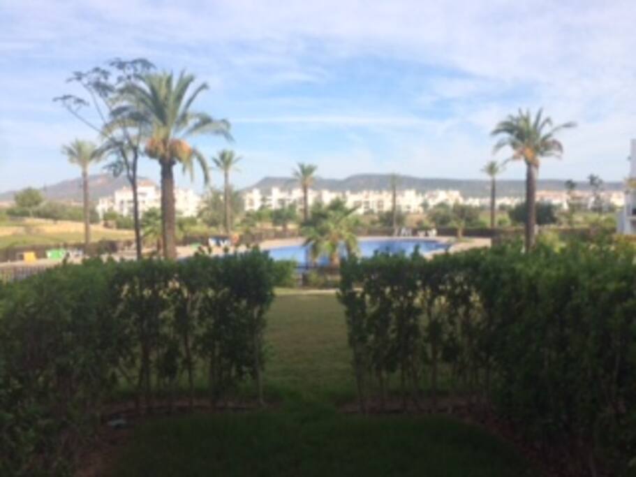 view from our back garden area