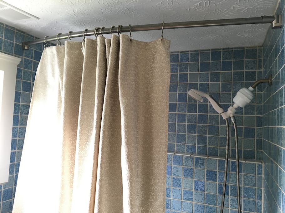 bath -- showing shower filter