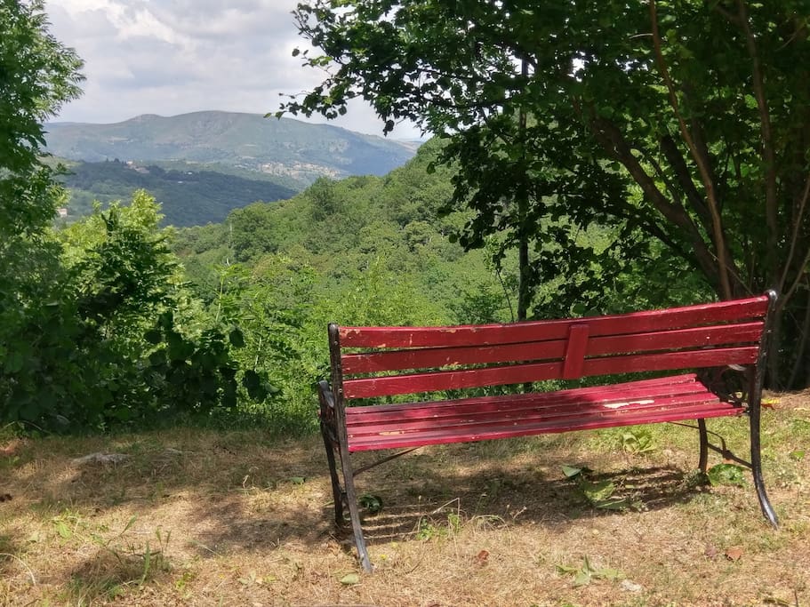 Bench with a view.