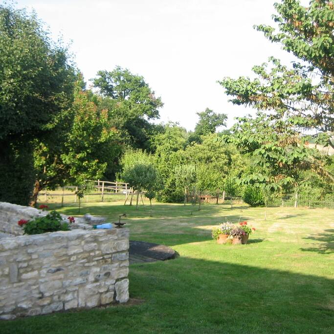 Secluded garden