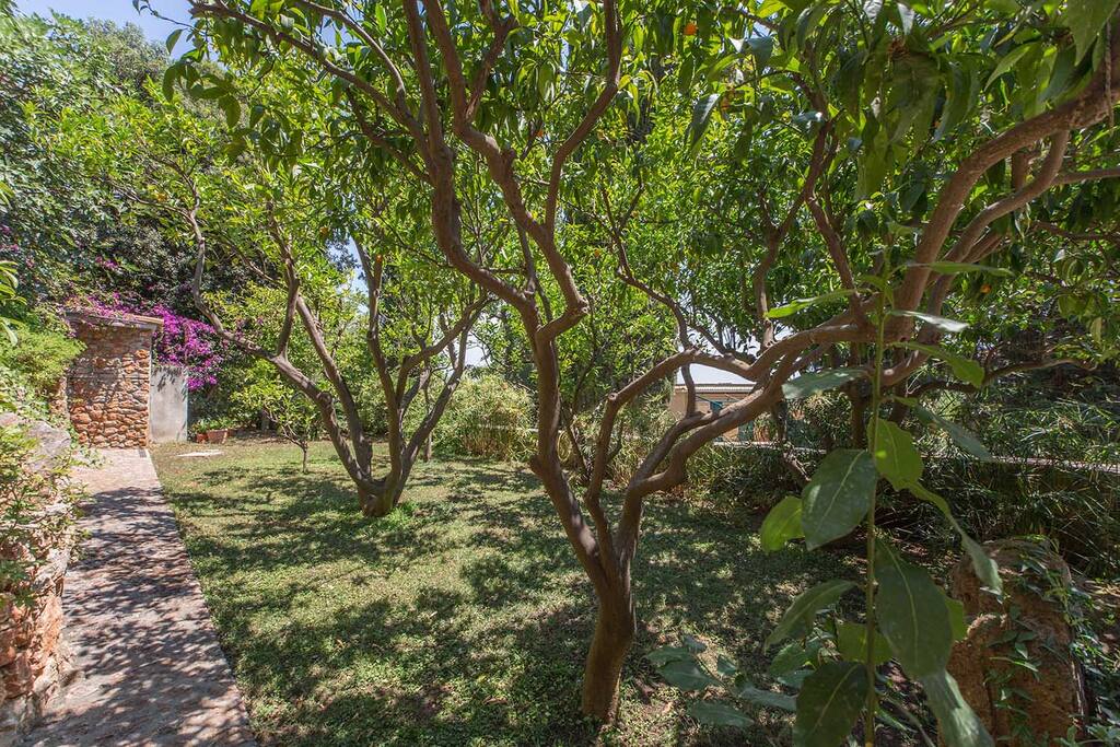 giardino privato allestito per i nostri clienti