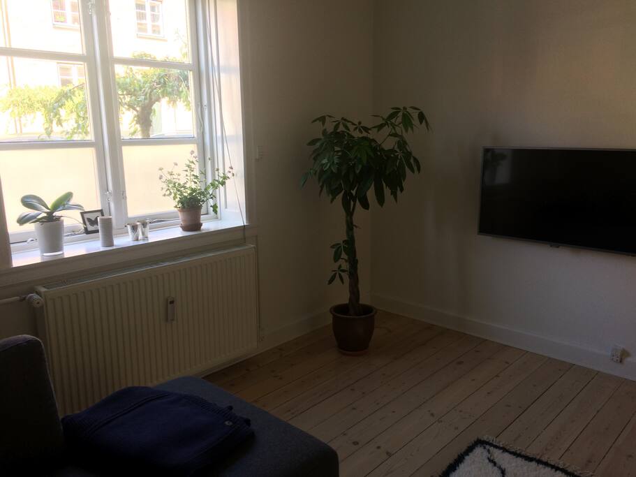 I stuen er stort fjernsyn