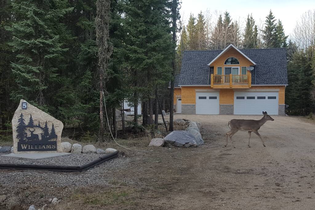 Family Friendly getaway A/C & Garage space! Cottages for Rent in