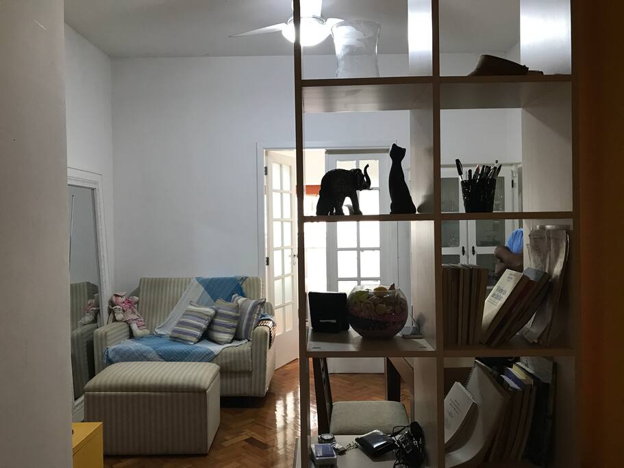 Visão geral da sala com a divisória com a antesala na frente e porta do quarto no fundo. Ao seu lado esquerdo fica o banheiro e a direita a cozinha)