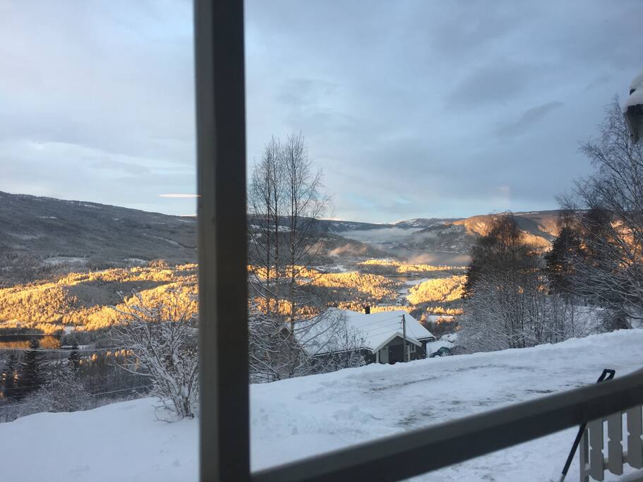 Utsikt fra kjøkkenvinduet.